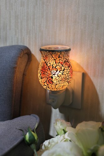 Autumn Crackle Plug-In Fragrance Warmer