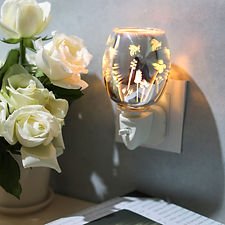 Wild Flowers 3D Plug in Warmer
